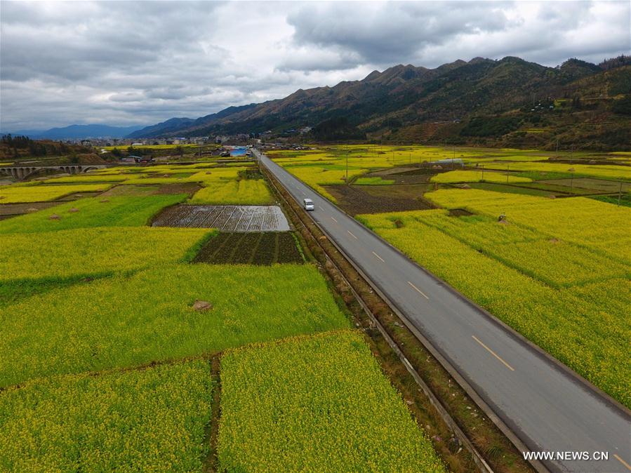 CHINA-RURAL WORK-ROADS(CN)