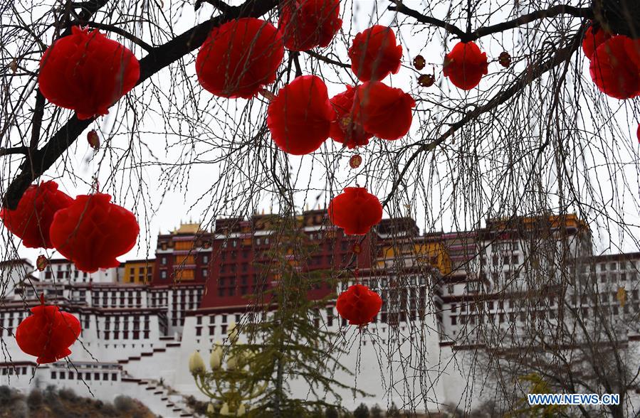 CHINA-LHASA-SPRING FESTIVAL-DECORATION (CN)