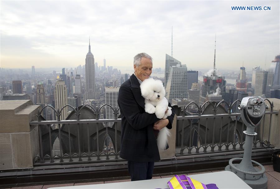 U.S.-NEW YORK-ROCKEFELLER CENTER-WESTMINSTER KENNEL CLUB DOG SHOW-FLYNN-BEST IN SHOW