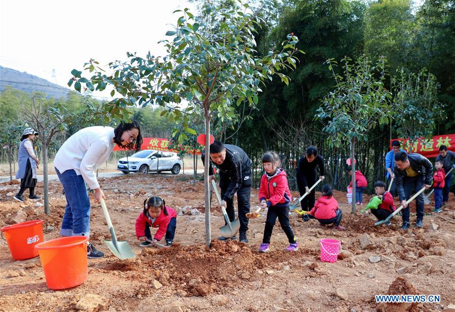 #CHINA-ZHEJIANG-TREE PLANTING-CHILDREN (CN*)