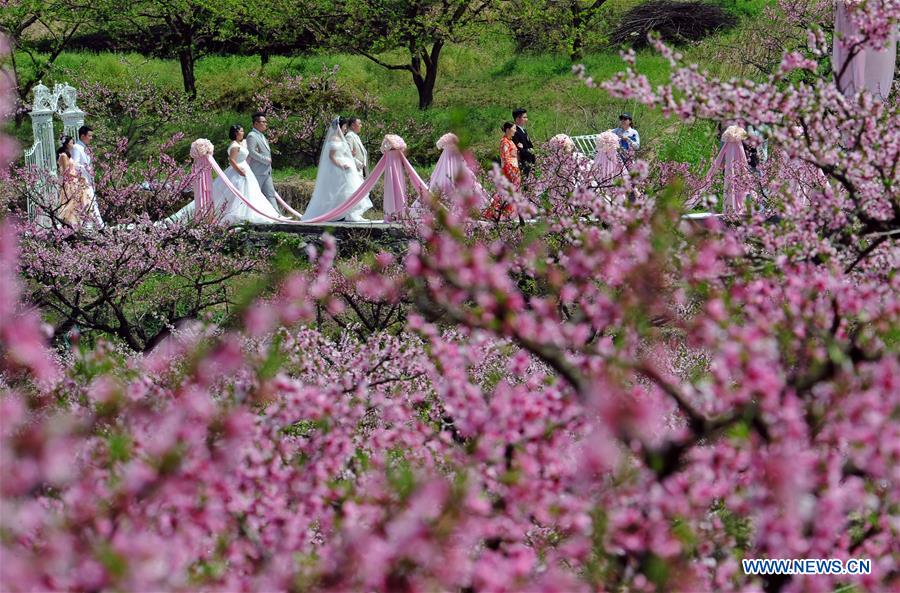 CHINA-ZHEJIANG-WEDDING-PEACH FOREST(CN)