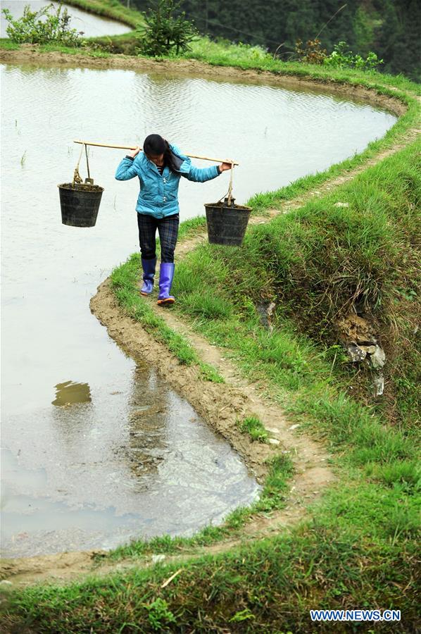 #CHINA-GUIZHOU-FARM WORK (CN)