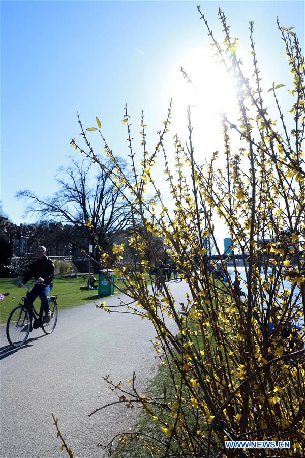 GERMANY-FRANKFURT-SPRING-BLOSSOM