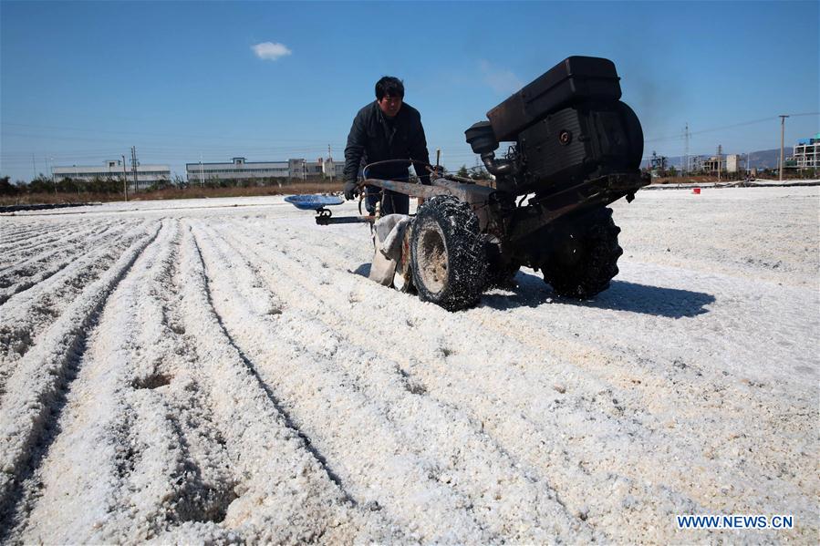 #CHINA-JIANGSU-SALT HARVEST (CN)