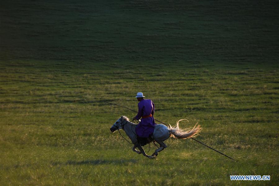 CHINA-INNER MONGOLIA-XILIN GOL-HORSE-SCENERY (CN)