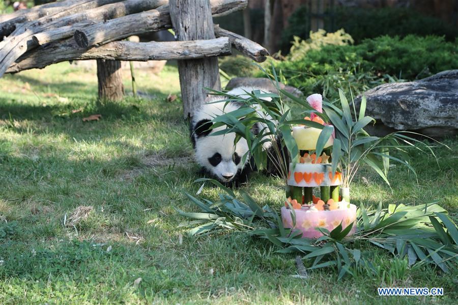 FRANCE-SAINT-AIGNAN-PANDA-ANNIVERSARY