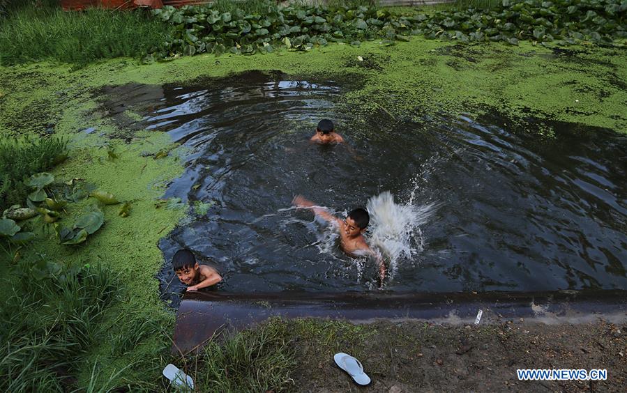 KASHMIR-SRINAGAR-DAL LAKE-DAILY LIFE