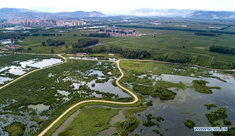 CHINA-SHANXI-HULIUHE WETLAND-SCENERY (CN)