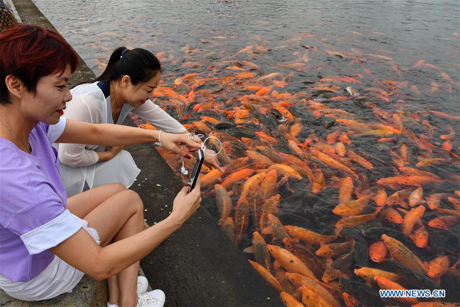 CHINA-FUJIAN-RIVER-FISH (CN)