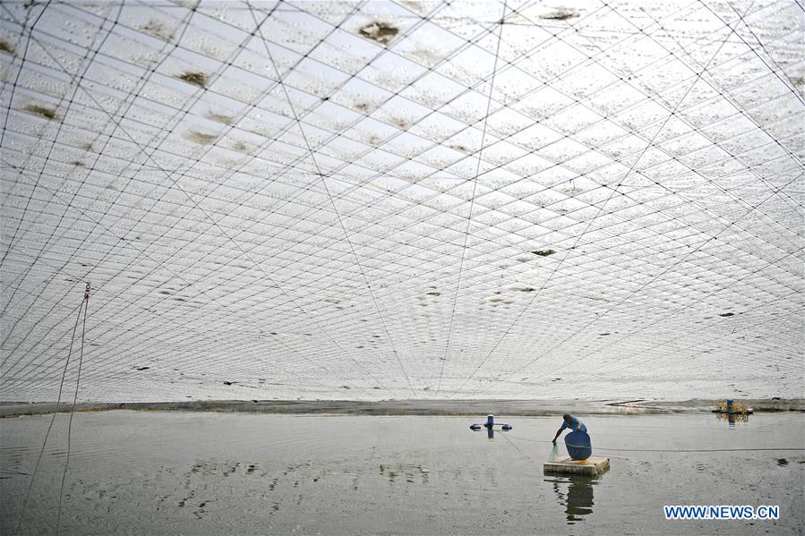 CHINA-NINGXIA-HELAN-PRAWN (CN)