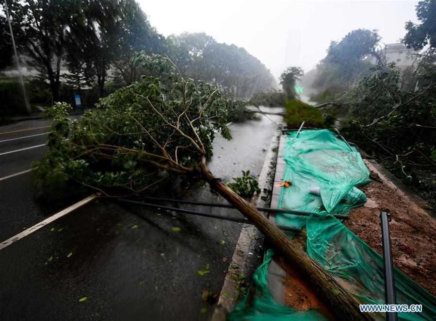 CHINA-GUANGDONG-TYPHOON MANGKHUT (CN)