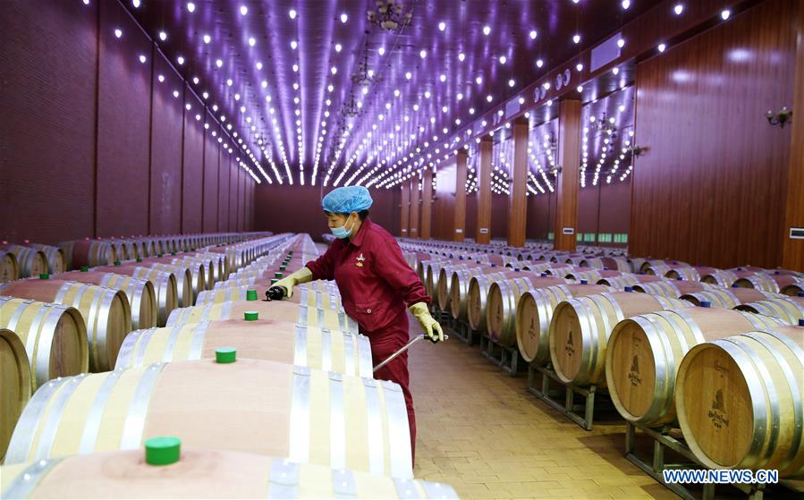 CHINA-NINGXIA-WINE INDUSTRY (CN)