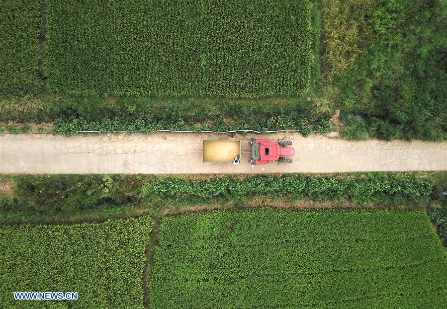 CHINA-JIANGXI-RICE-HARVEST (CN)