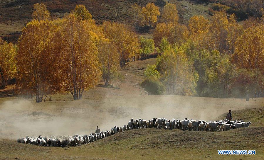 XINHUA PHOTO WEEKLY CHOICES