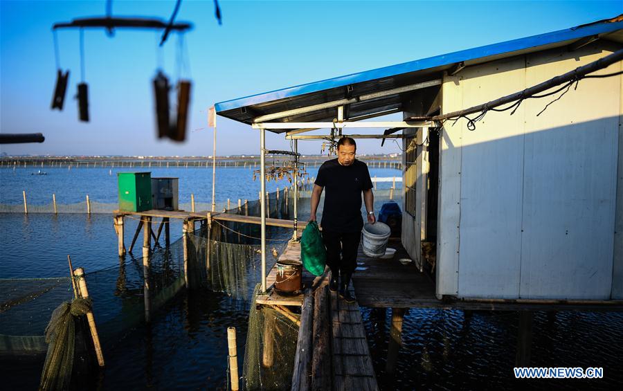 CHINA-JIANGSU-KUNSHAN-HAIRY CRAB CULTIVATOR (CN)