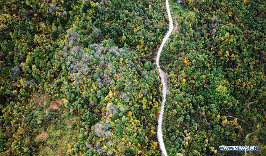 CHINA-GANSU-LIANGDANG-AUTUMN-LANDSCAPE (CN)