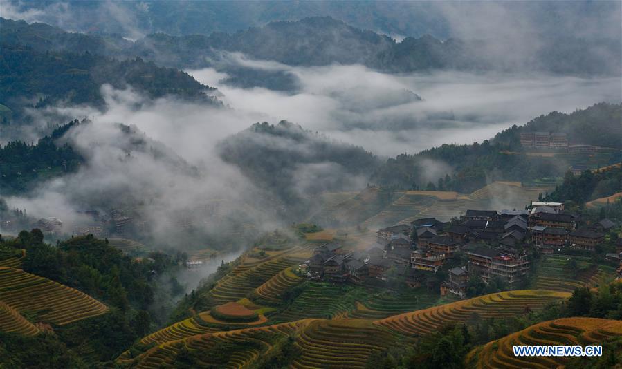 #CHINA-GUANGXI-TERRACE-SCENERY (CN)