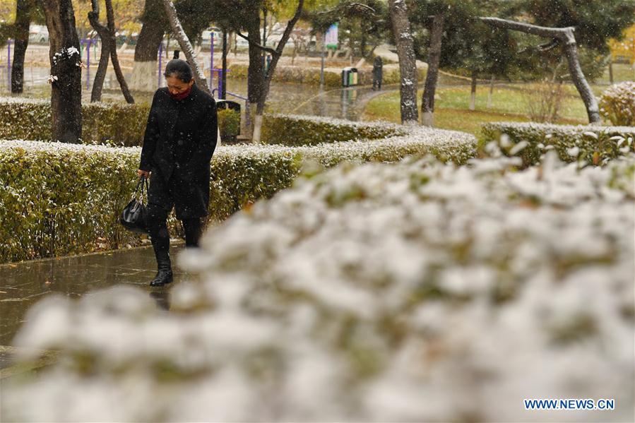 CHINA-JILIN-WEATHER-SNOWFALL (CN)