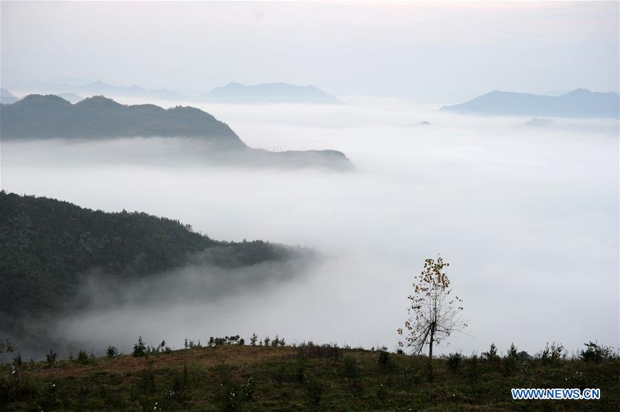 CHINA-GUIZHOU-TONGREN-ADVECTION FOG (CN)