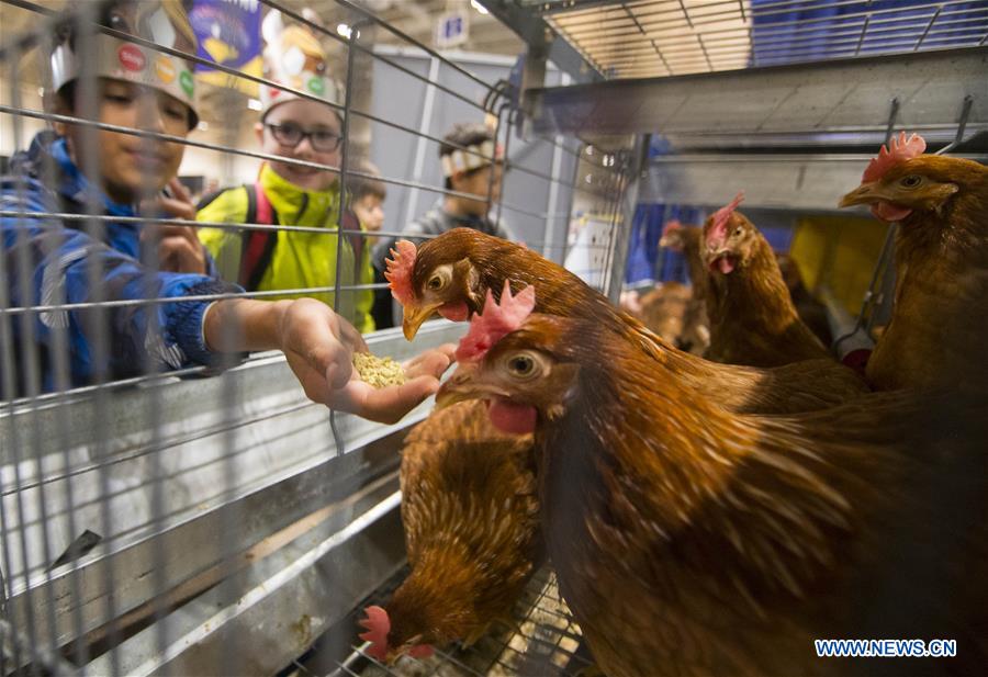 CANADA-TORONTO-ROYAL AGRICULTURAL WINTER FAIR