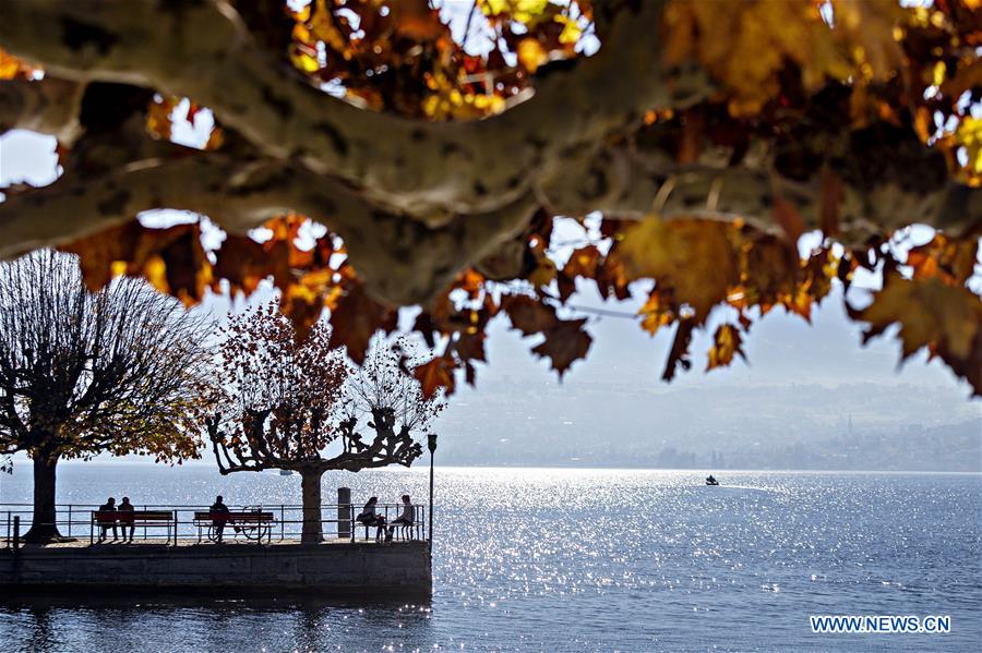 SWITZERLAND-ZURICH-AUTUMN