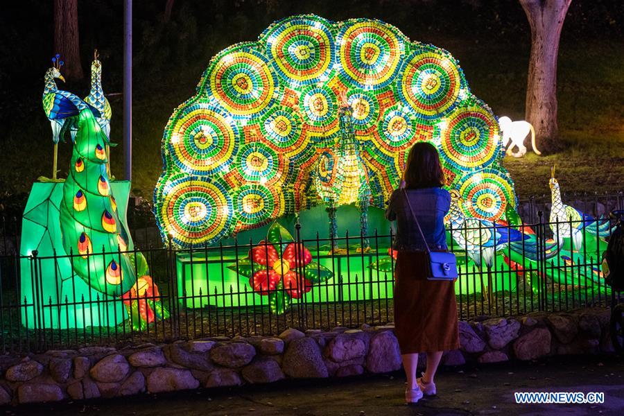 U.S.-LOS ANGELES-THANKSGIVING-LIGHT INSTALLATIONS 