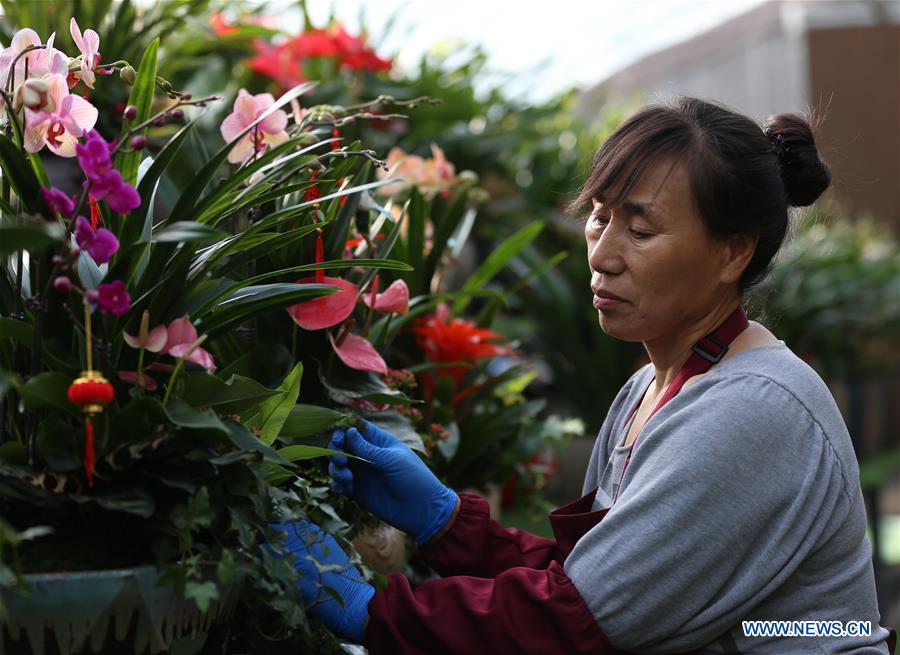 #CHINA-HEBEI-FLOWER INDUSTRY (CN)