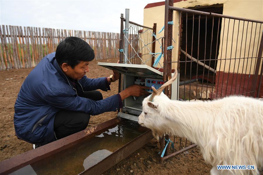 CHINA-INNER MONGOLIA-MODERN LIFE (CN)