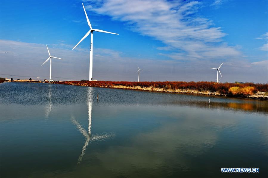 CHINA-FUJIAN-WIND POWER (CN)