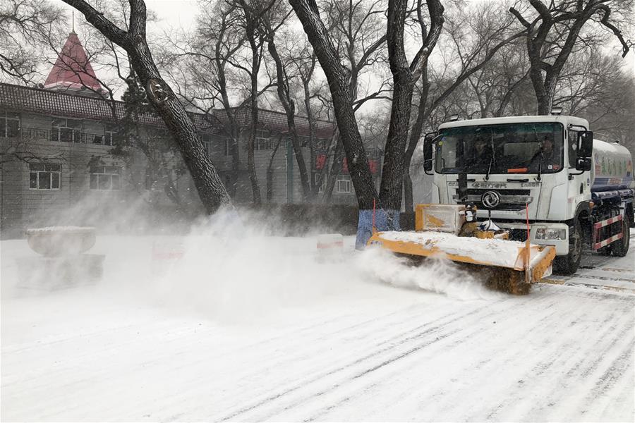 CHINA-HEILONGJIANG-HARBIN-SNOW (CN)