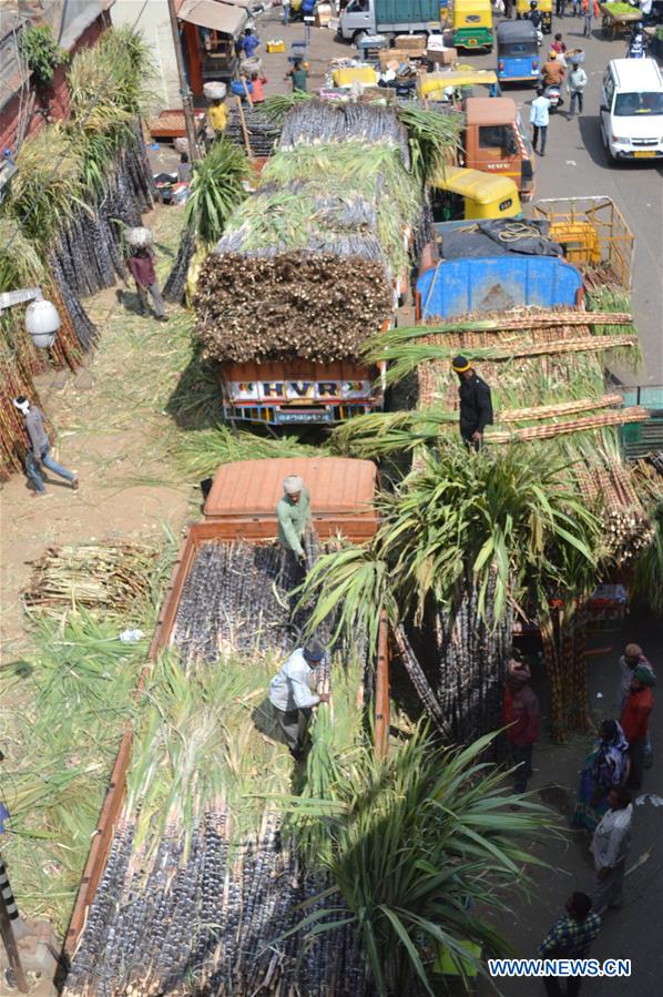 INDIA-BANGALORE-MAKAR SANKRANTI FESTIVAL-PREPARATION