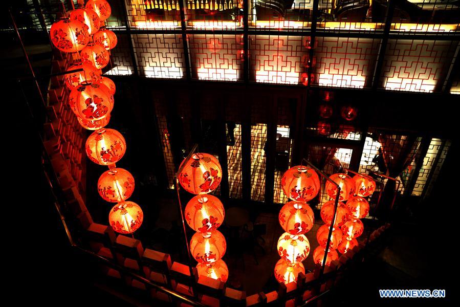 CHINA-HONG KONG-SPRING FESTIVAL-LANTERNS (CN)