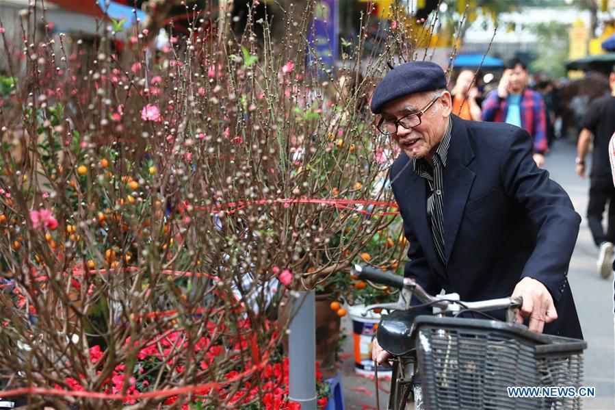 VIETNAM-HANOI-LUNAR NEW YEAR-PREPARATIONS