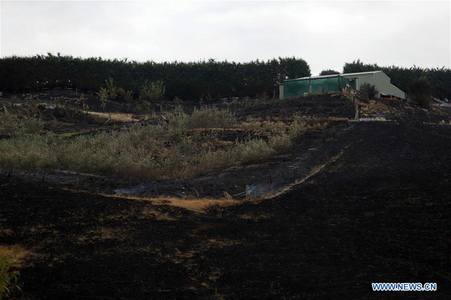 NEW ZEALAND-SOUTH ISLAND-BUSH FIRE