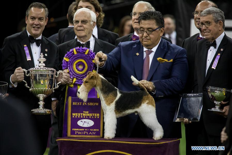 US-NEW YORK-DOG SHOW