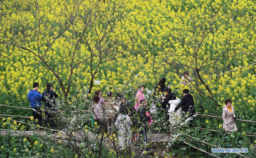 CHINA-CHONGQING-COLE FLOWER (CN) 