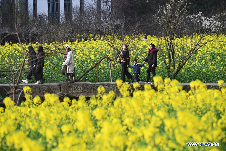 CHINA-CHONGQING-COLE FLOWER (CN) 