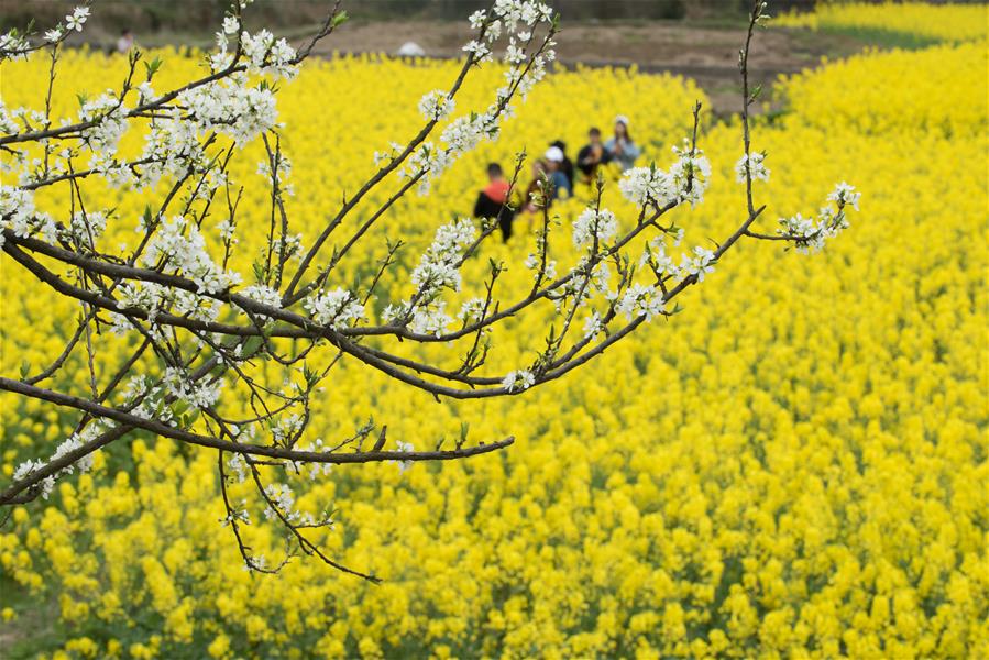 # CHINA-SPRING-SCENERY (CN)