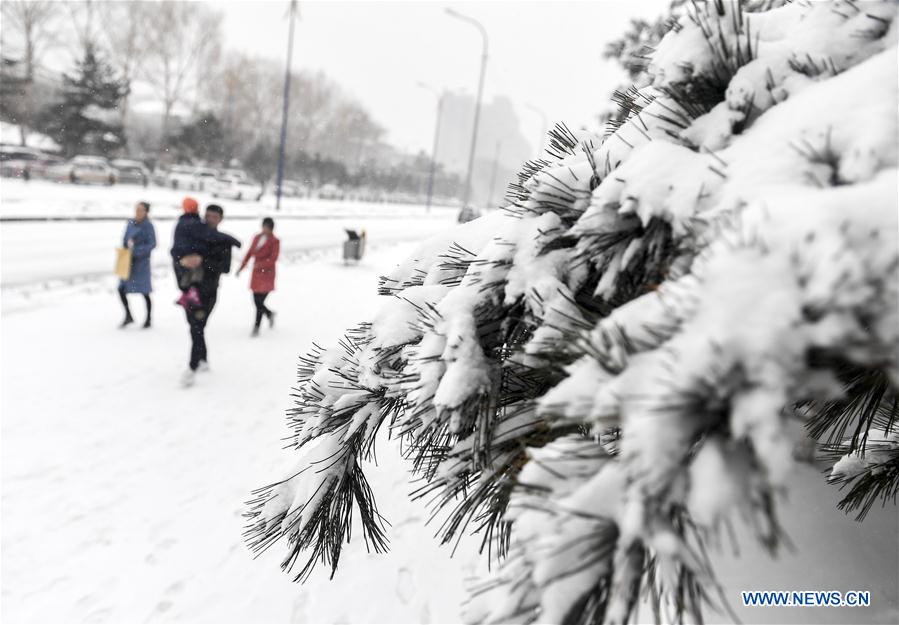 CHINA-JILIN-SNOWFALL (CN)