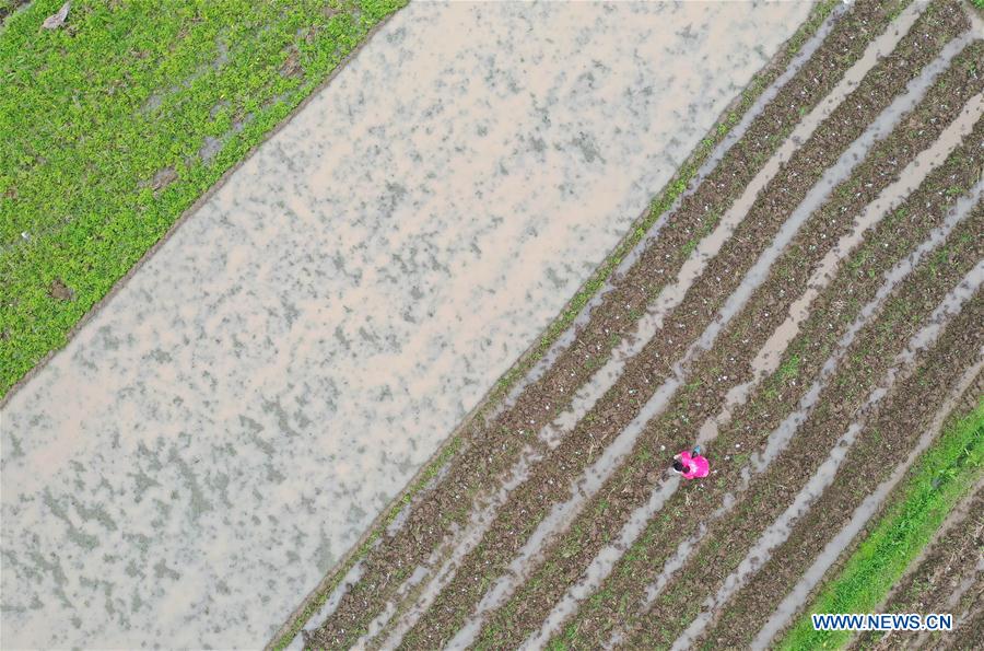 #CHINA-HUNAN-SPRING-FARMING (CN)