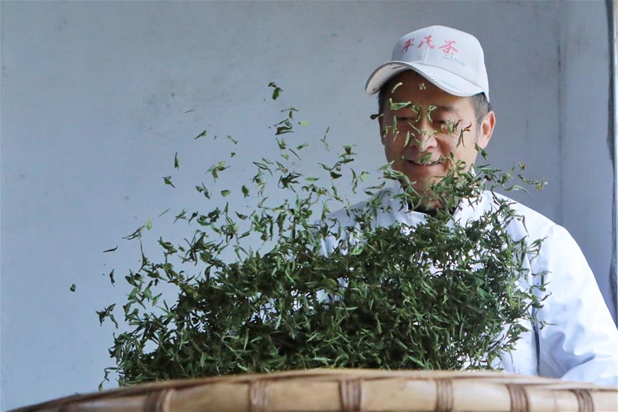 CHINA-GUIZHOU-QINGMING CUIYA TEA-MAKING (CN)