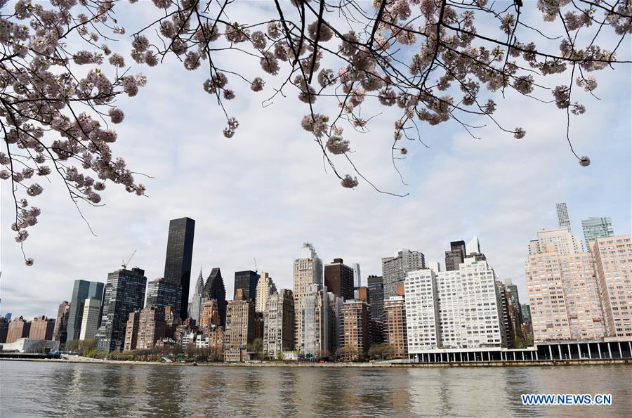  U.S.-NEW YORK-SPRING-SCENERY