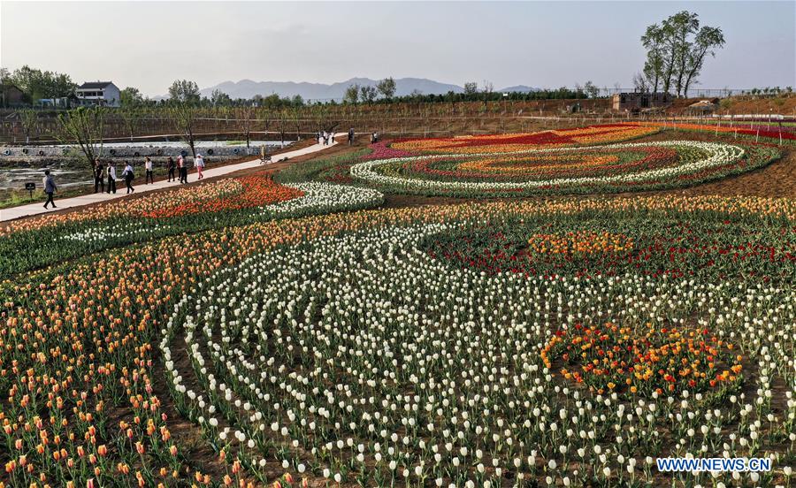 CHINA-SHAANXI-LUONAN-TULIP-TOURISM(CN)