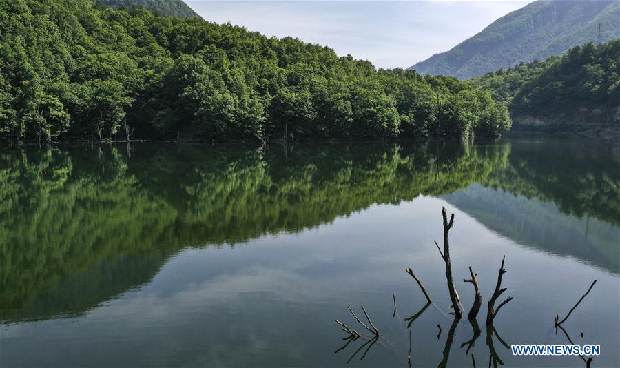 CHINA-SHAANXI-HUANGBAIYUAN-BEAUTY OF NATURE (CN)