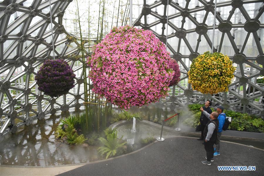 (EcoChina) CHINA-BEIJING-HORTICULTURAL EXPO-SHANGHAI (CN)