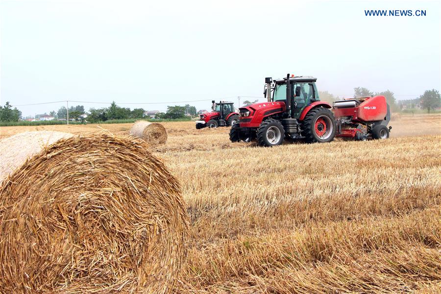 #CHINA-WHEAT STRAW-RECYCLING (CN)