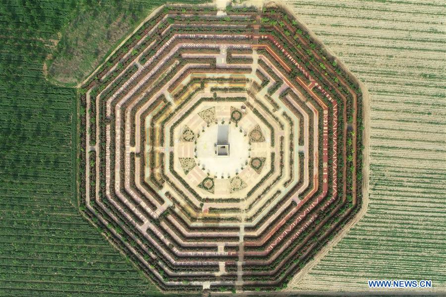 CHINA-HEBEI-CHINESE ROSE-MAZE (CN)