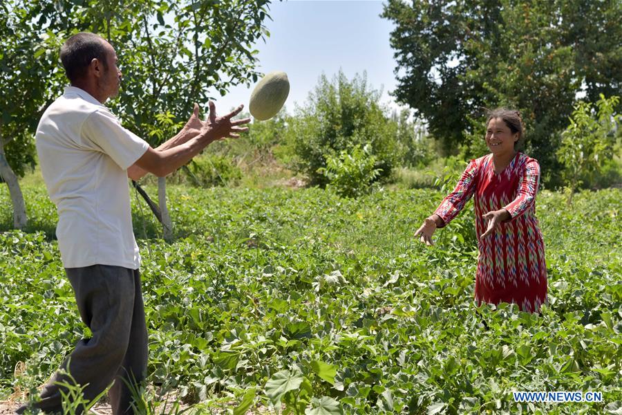 CHINA-XINJIANG-BACHU-MELONS (CN)