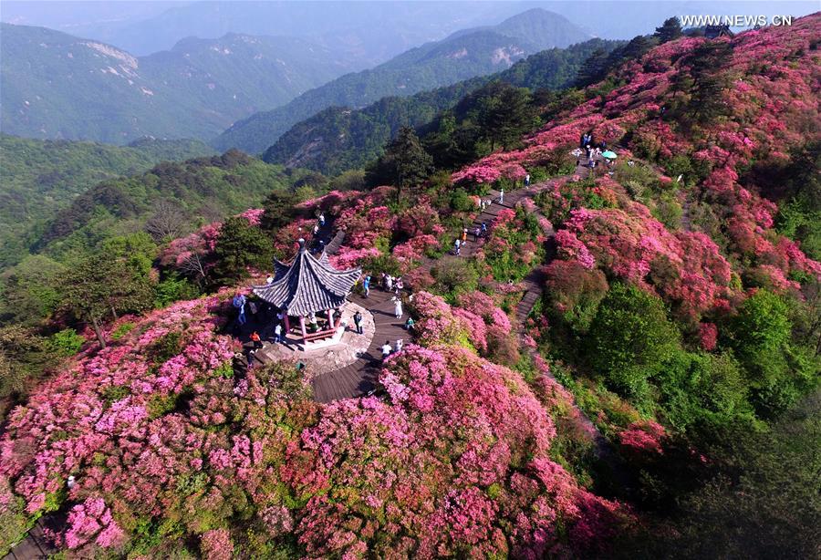 CHINA-BEIJING-HORTICULTURAL EXPO-HUBEI DAY (CN)