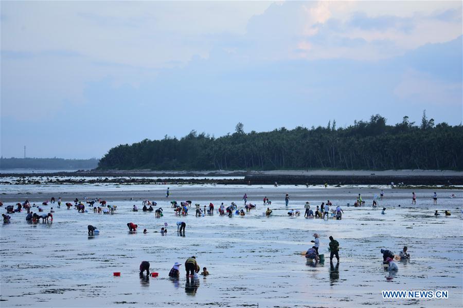 #CHINA-HAINAN-QIONGHAI-BEACHCOMBING(CN)